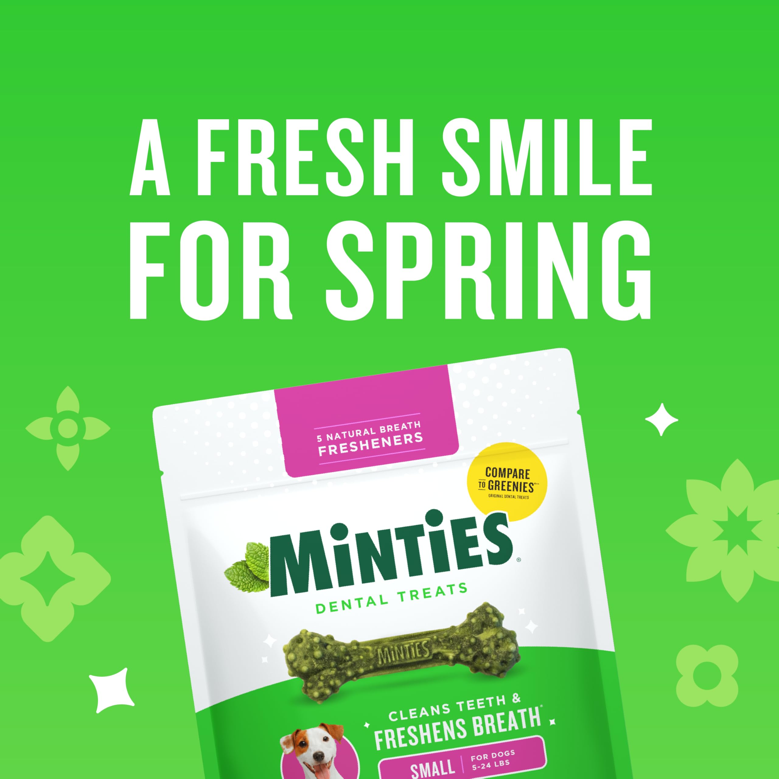 Minties boîte dentaire pour petits chiens, emballage clair et attrayant pour l'hygiène buccale