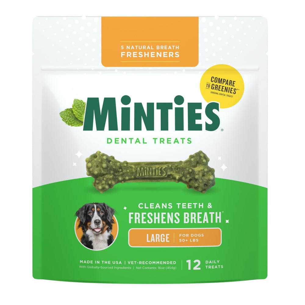 Minties : emballage de 12 unités pour démarrer l’hygiène dentaire quotidienne.