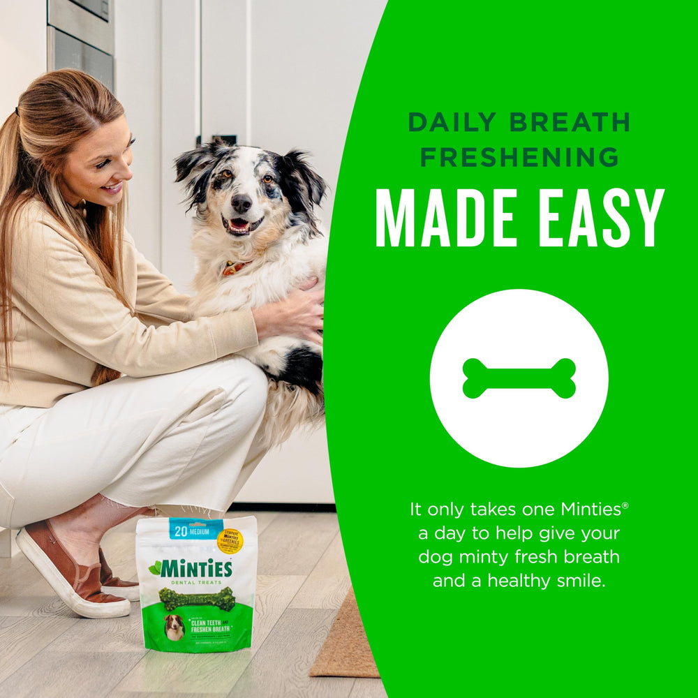 Minties sante bouche chien, routine dentaire simple et conviviale