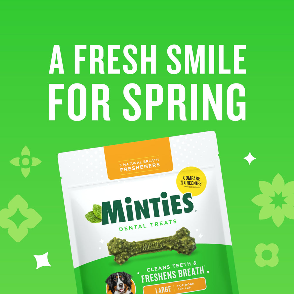 Minties, texture rugueuse sur l'os dentaire, idéale pour le nettoyage lors de la mastication.