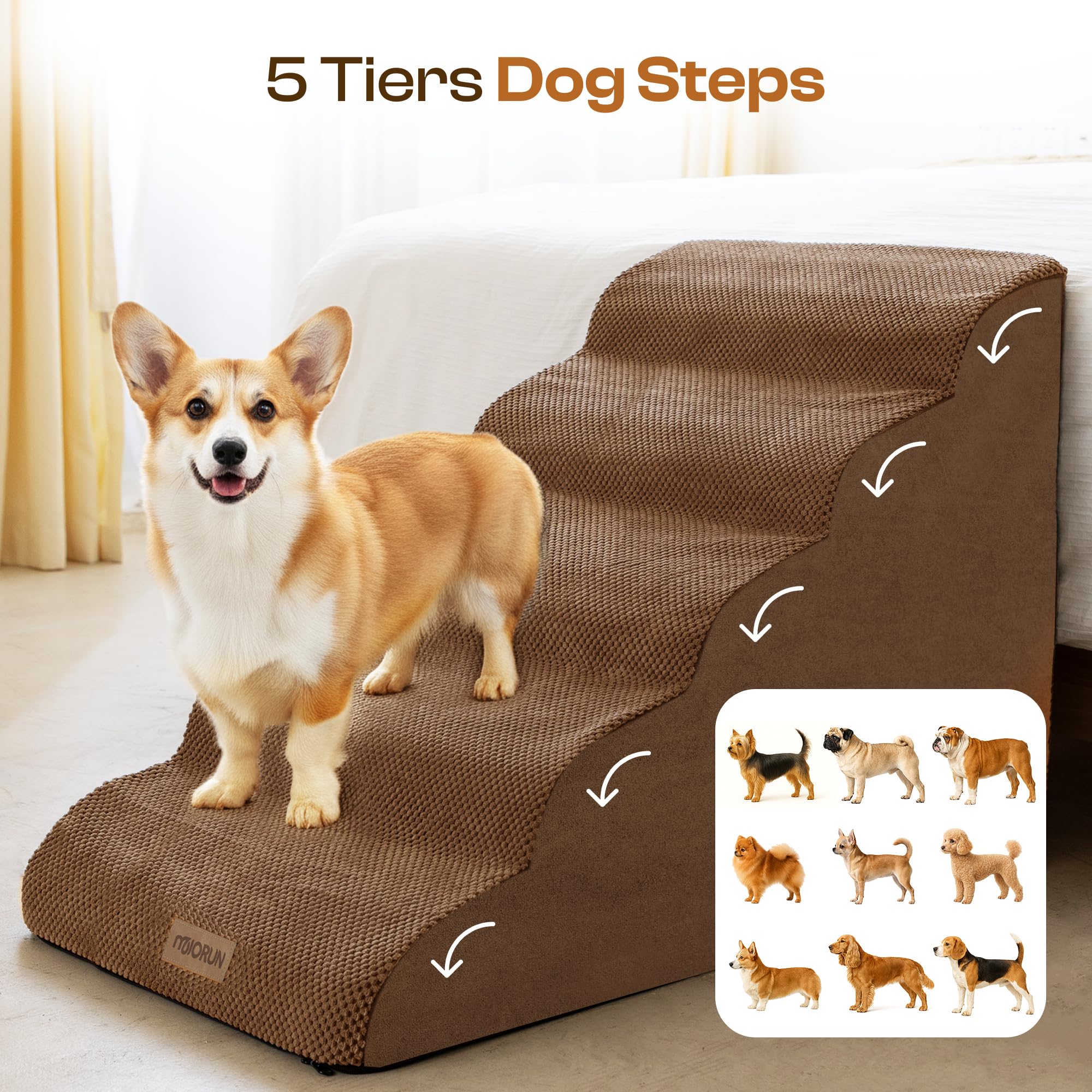 Chien utilisant l’escalier pour accéder au lit.