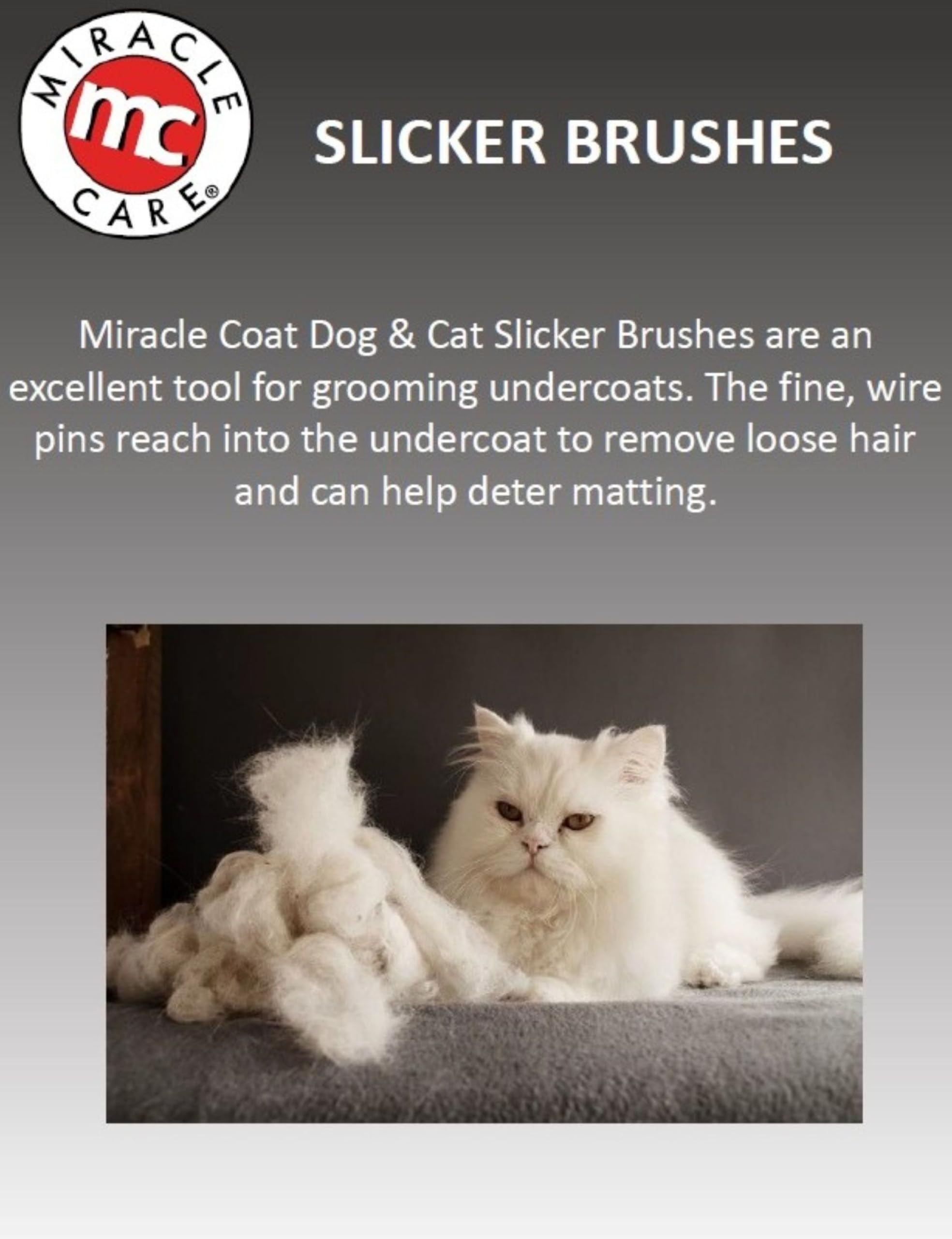 Miracle Care brosse Slicker chat - atteint le pelage double pour un fini soigné