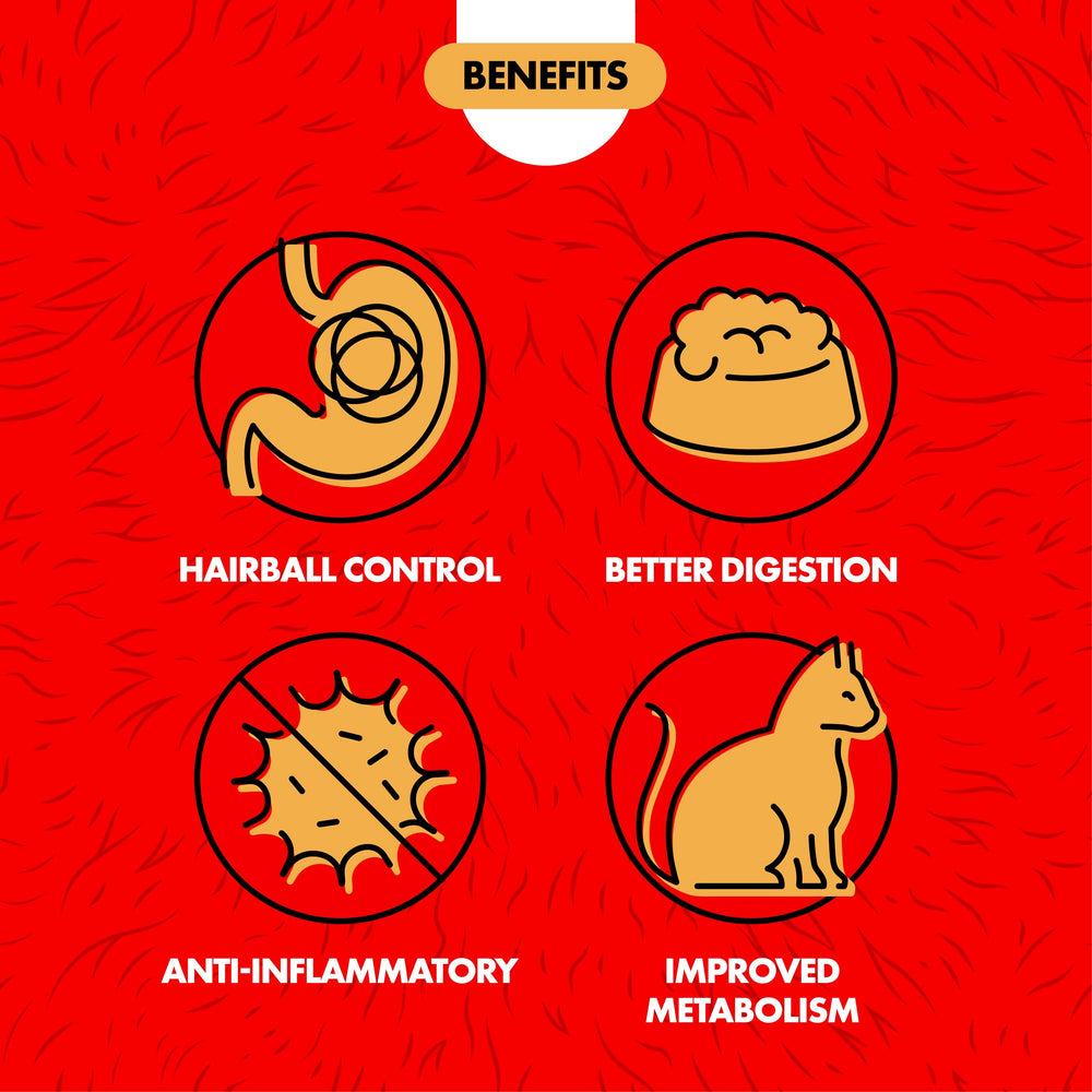 Miracle Care Herbe Chat Verte Fraiche: herbe naturelle pour chats.