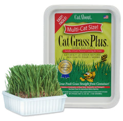 Miracle Care Kit Herbe Chat Interieur: pousse rapide et goût frais.