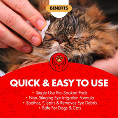 Tampon Miracle Care jetable – pratique et sans gâchis pour les yeux canins et félins
