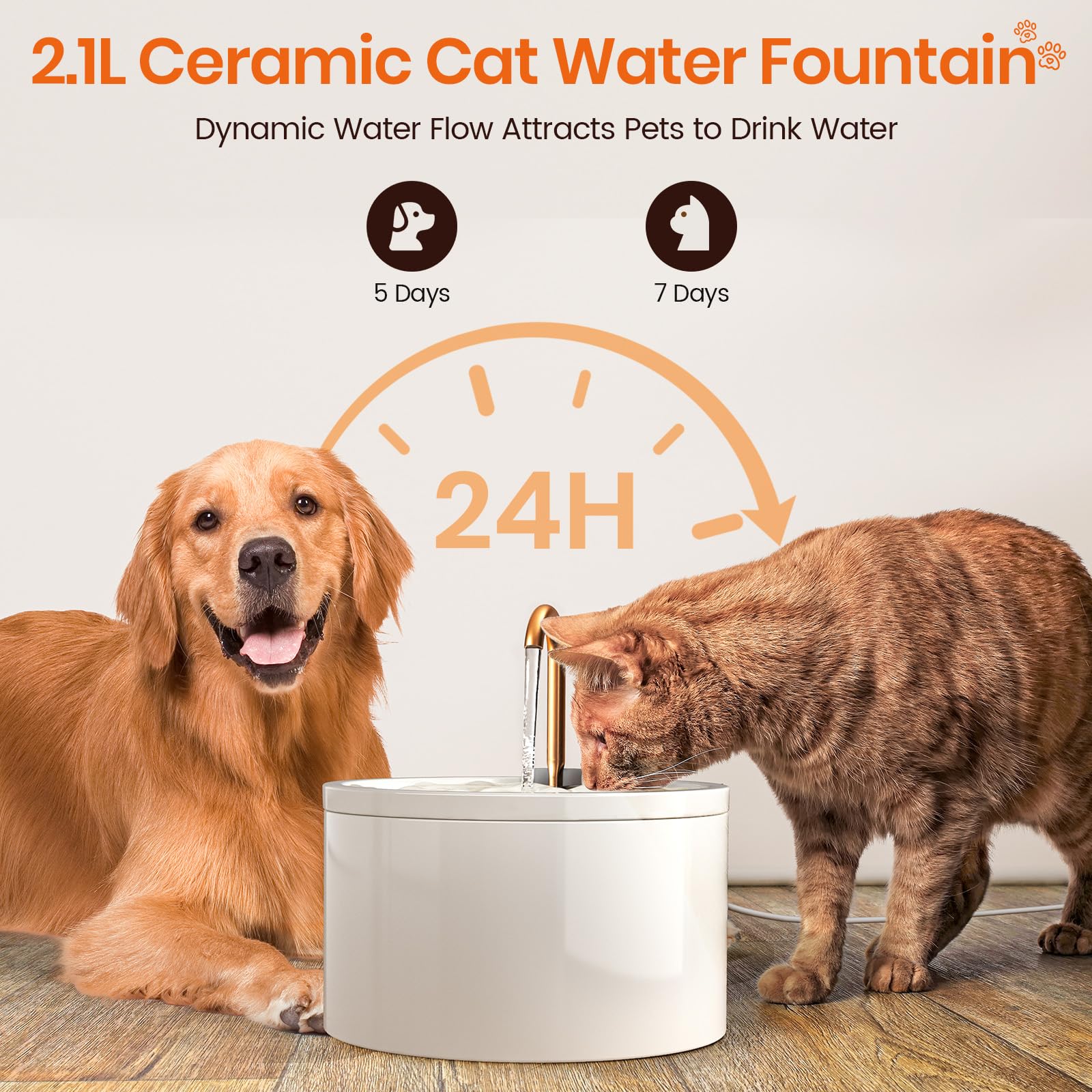 MISFANS fontaine-chat deux modes boisson : stimule l'hydratation naturelle.