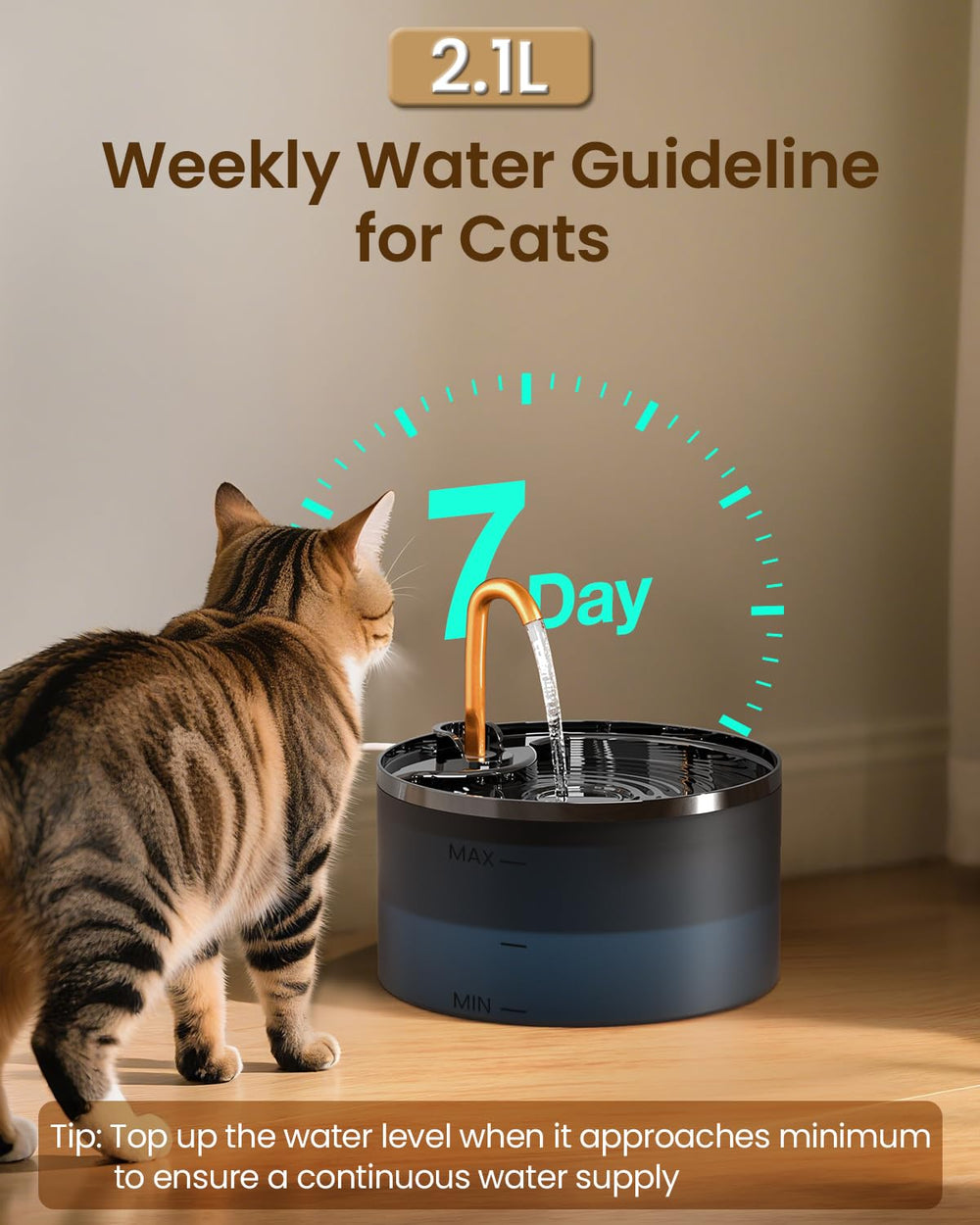 MISFANS fontaine-chat-base-ergonomique : design adapté, usage quotidien facilité.