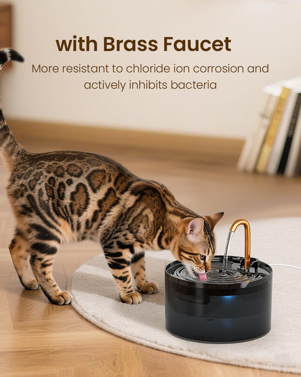 MISFANS fontaine-chat-pompe-design : pompe facile à démonter pour entretien rapide.