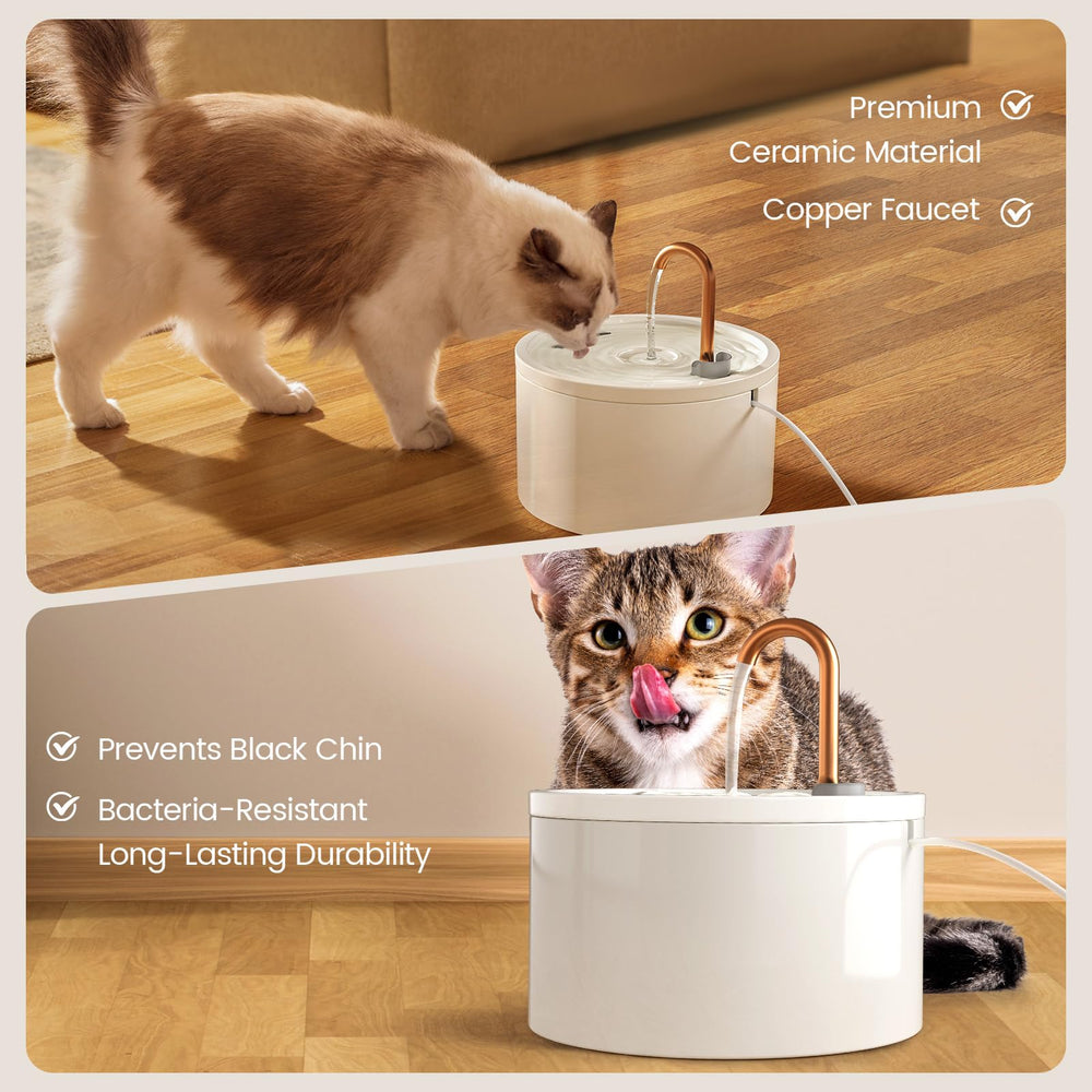 MISFANS fontaine-chat pompe silencieuse : fonctionnement discret dans le salon.