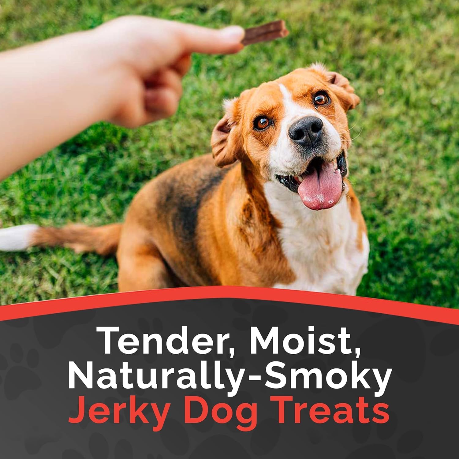 Miss Nelly's friandise sans additifs artificiels pour chien heureux