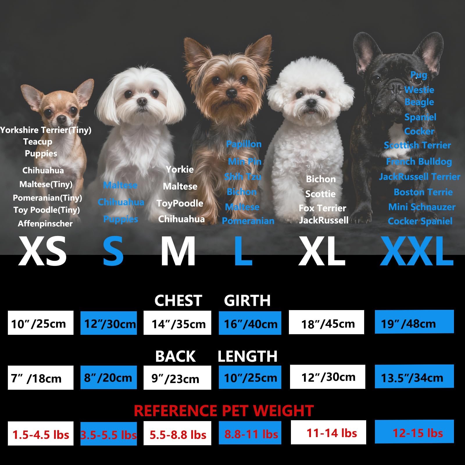 Costume chat bleu MISS PET pour petits looks