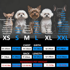 Costume chat bleu MISS PET pour petits looks