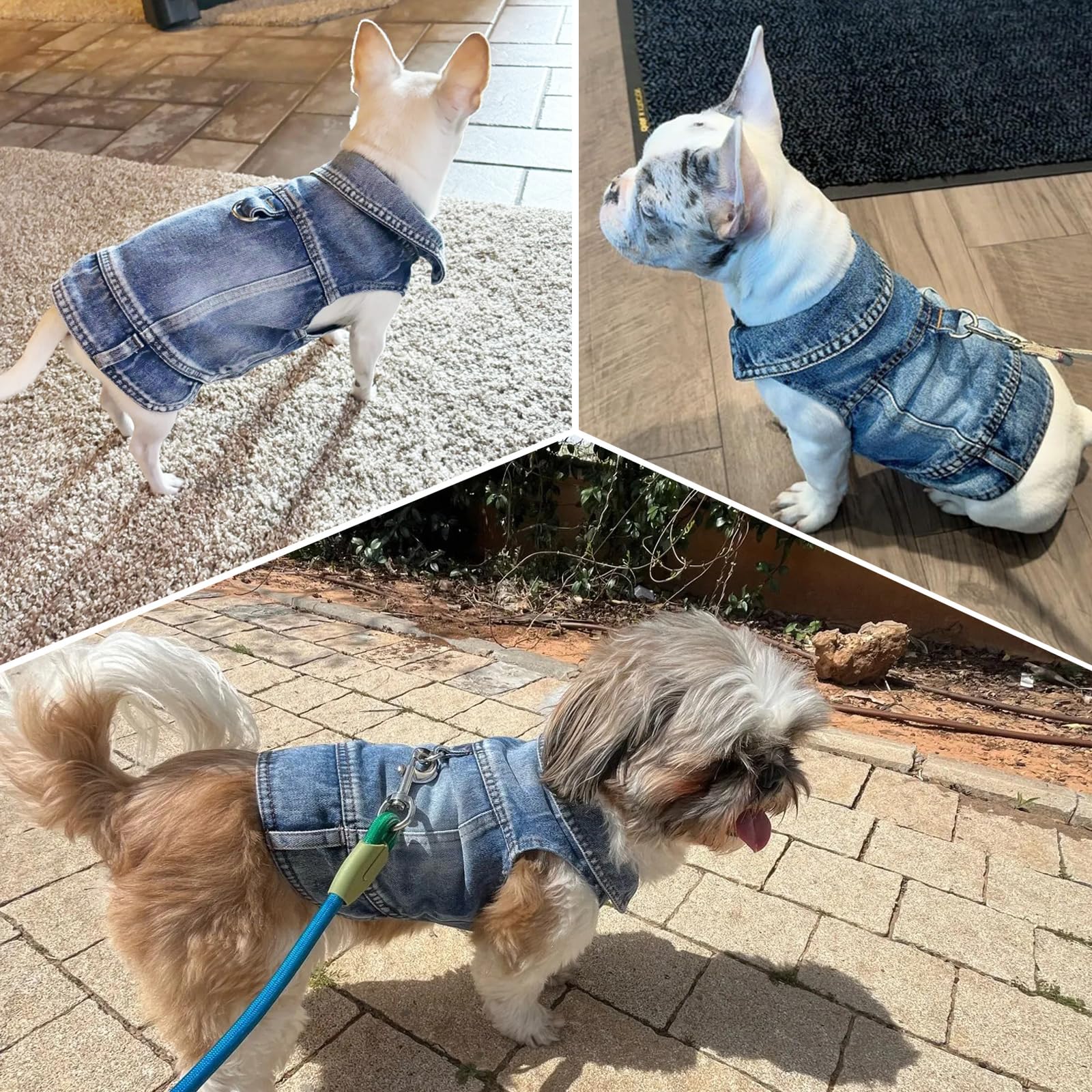 Détails finition denim usé MISS PET bleu tendance