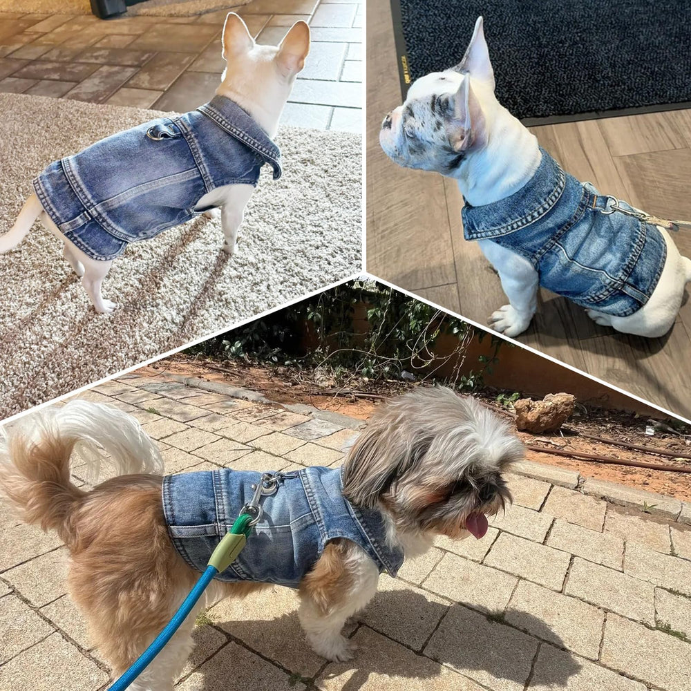 Détails finition denim usé MISS PET bleu tendance
