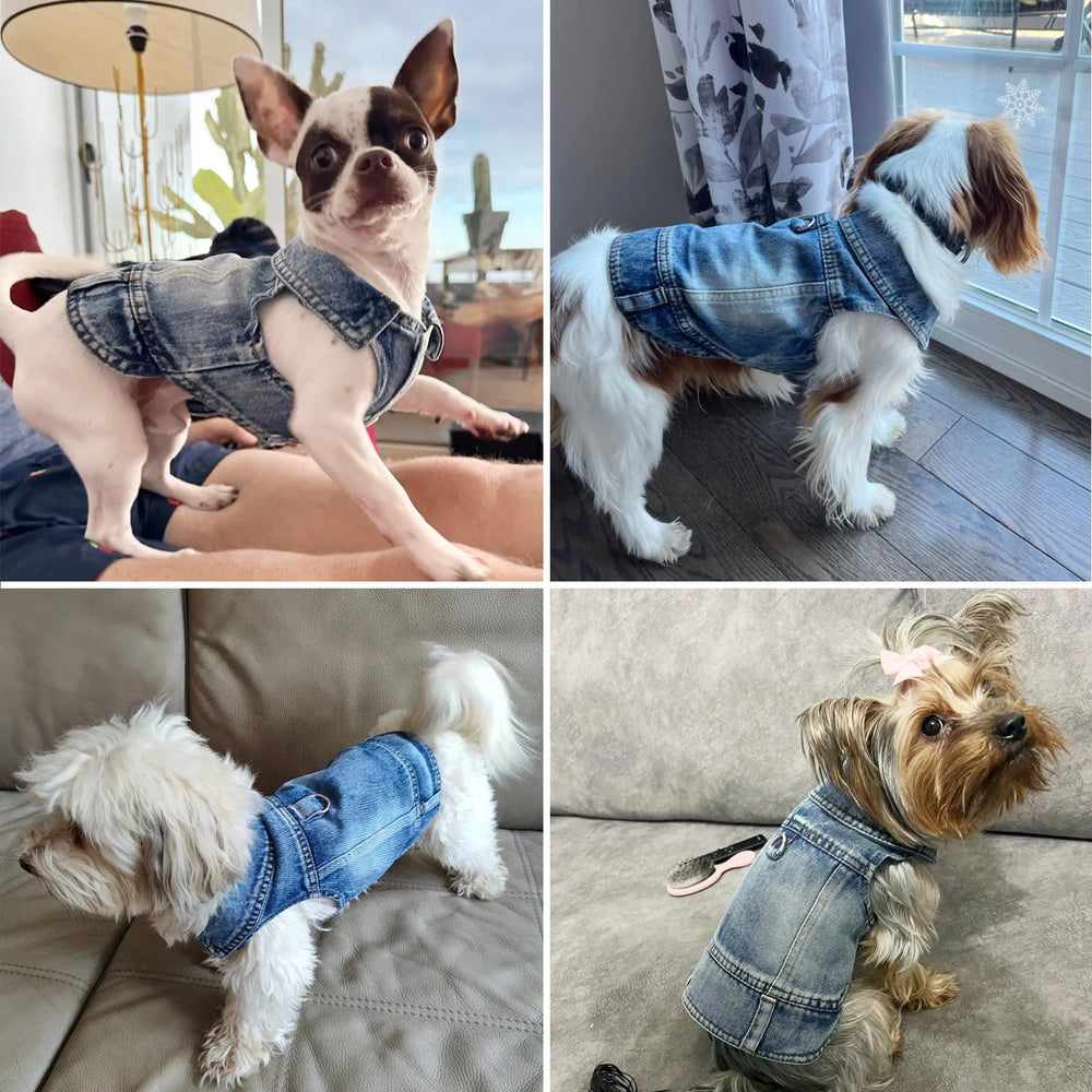 Veste MISS PET lavable en machine, entretien facile