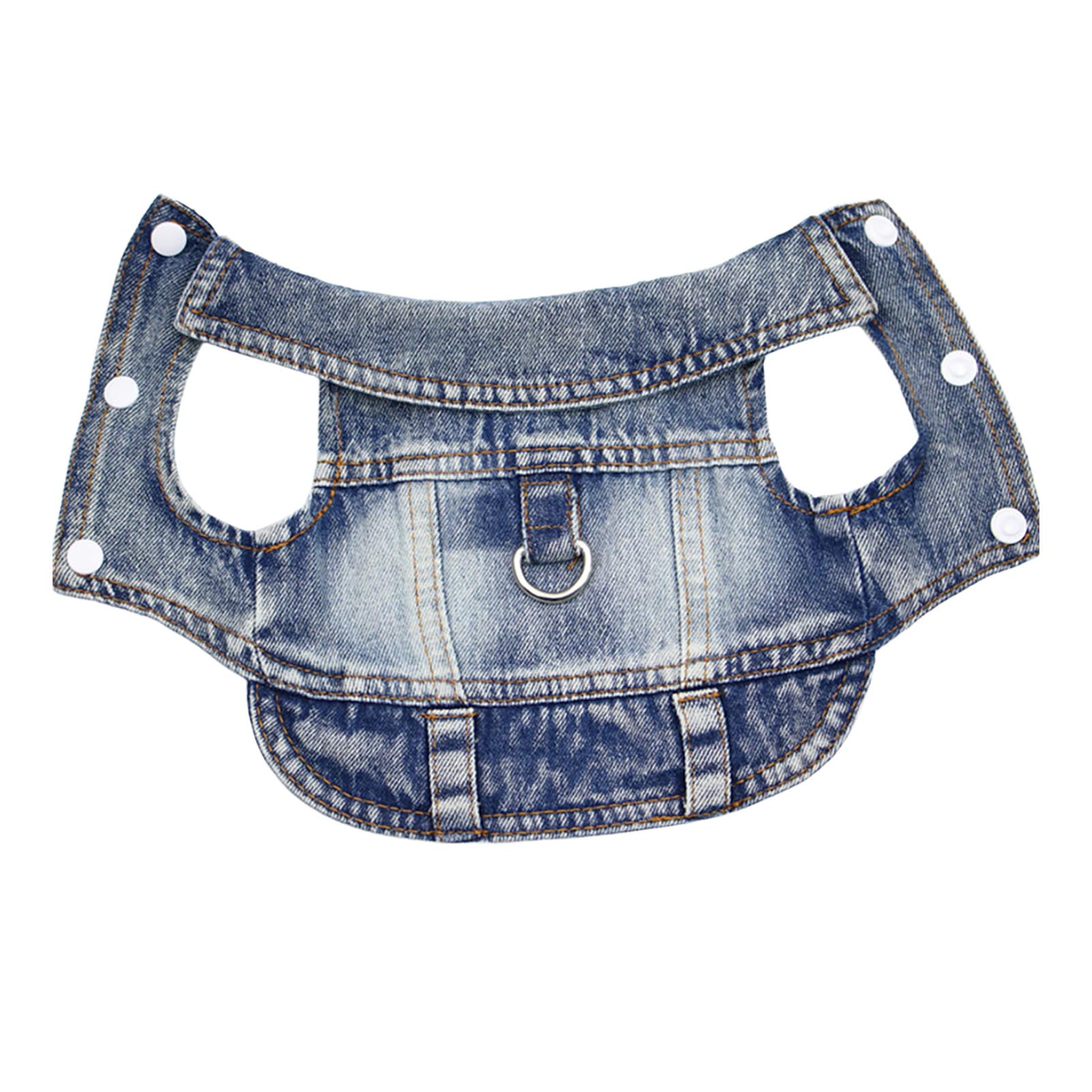 Tenue MISS PET adaptée pour occasions spéciales et sorties