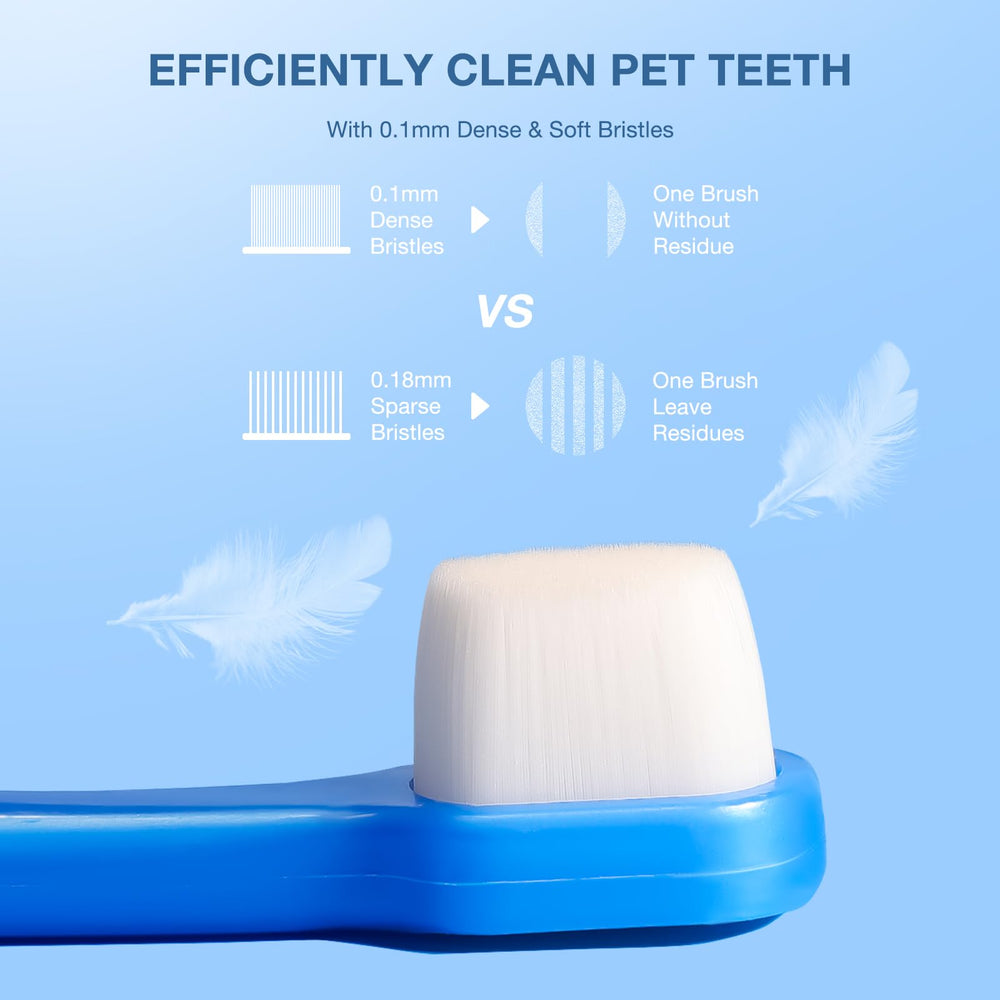 MISSELF étui transparent, rangement hygiénique et pratique