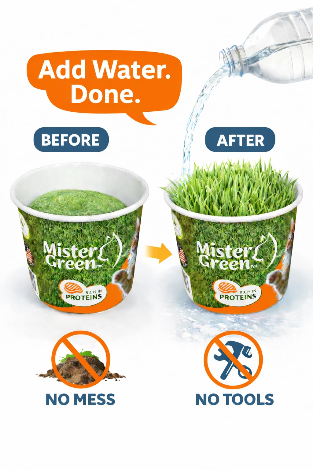 Mister Green Pet Kit: graines biologiques prêtes à germer pour l’herbe des chats
