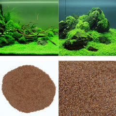 MISUHALOU Dwarf Leaf S.e.e.ds, germination rapide et tapis dense idéal pour débutants.