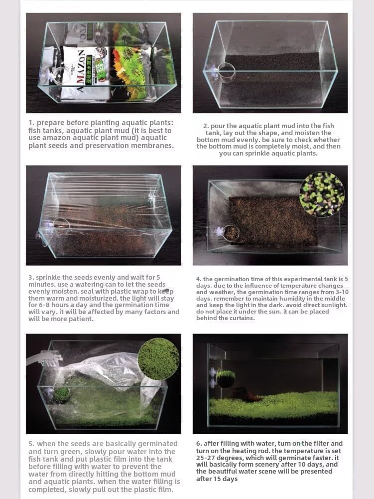 MISUHALOU Dwarf Leaf S.e.e.ds, production naturelle d’oxygène pour l’écosystème aquatique.