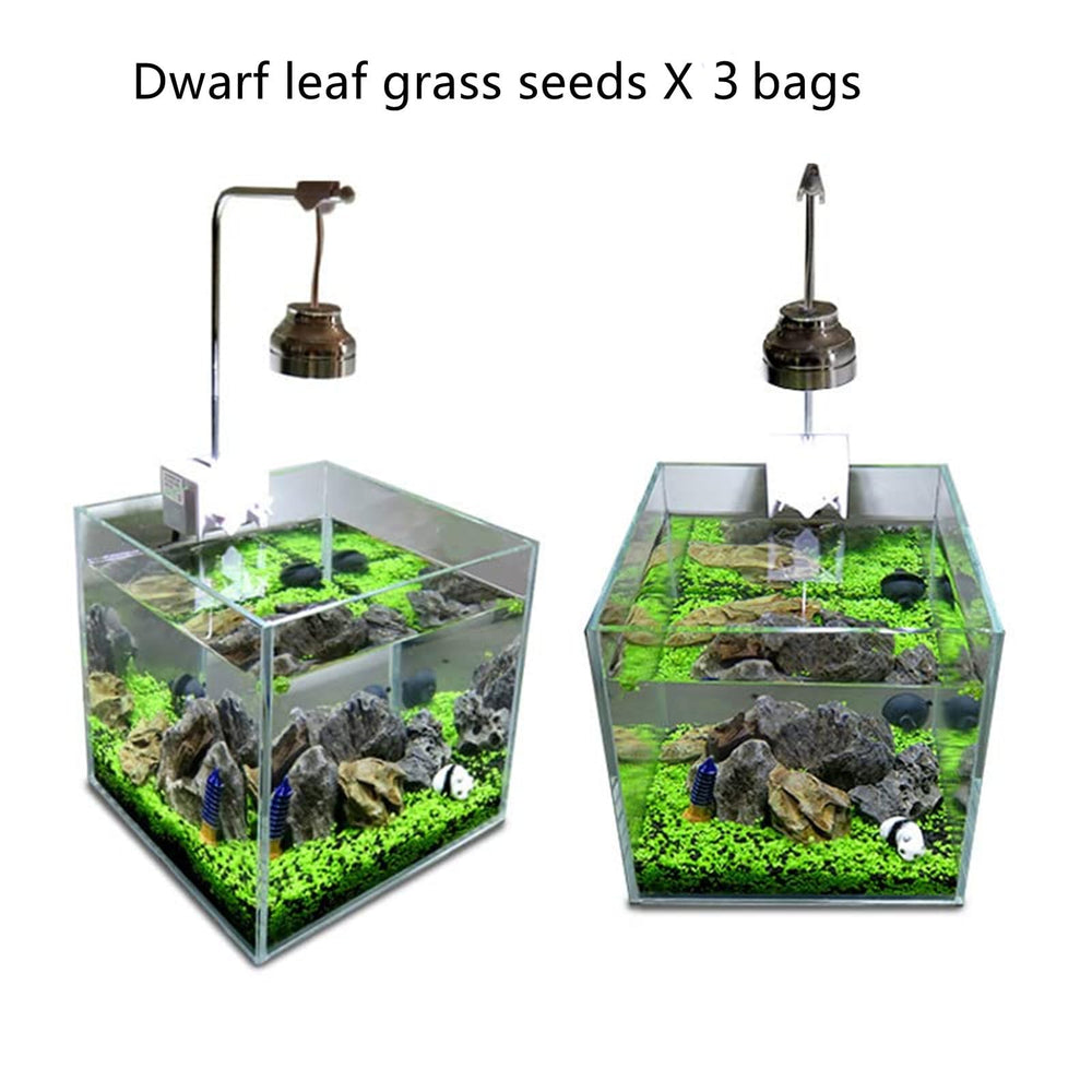 MISUHALOU Plante gazon d'aquarium couvrant 30x30 cm, idéal pour une base esthétique.