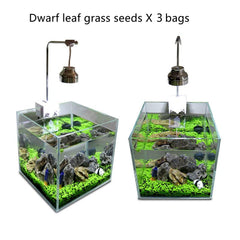 MISUHALOU Plante gazon d'aquarium couvrant 30x30 cm, idéal pour une base esthétique.