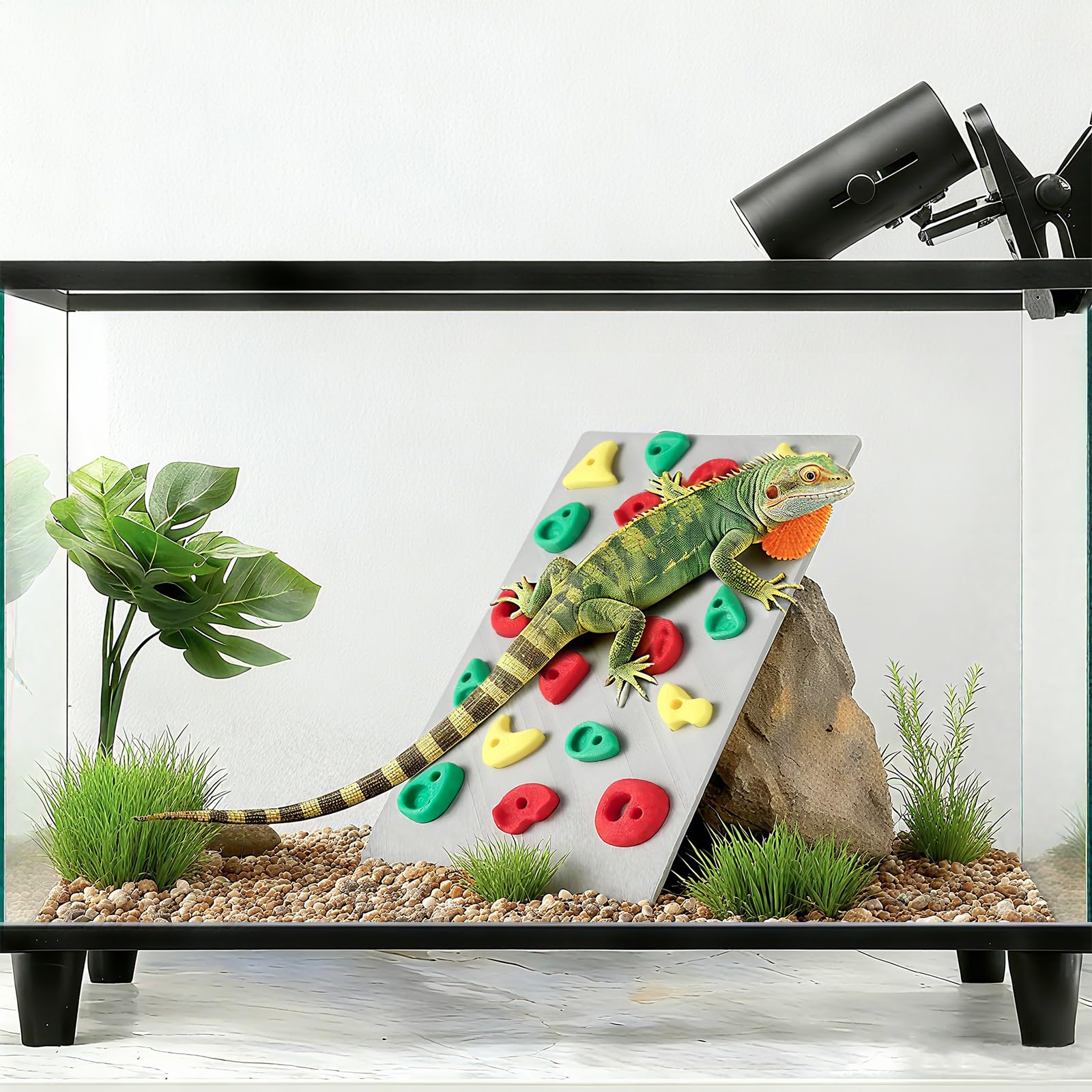 MITCHENIFY décor d’habitat terrarium, améliore l’esthétique et le bien-être.