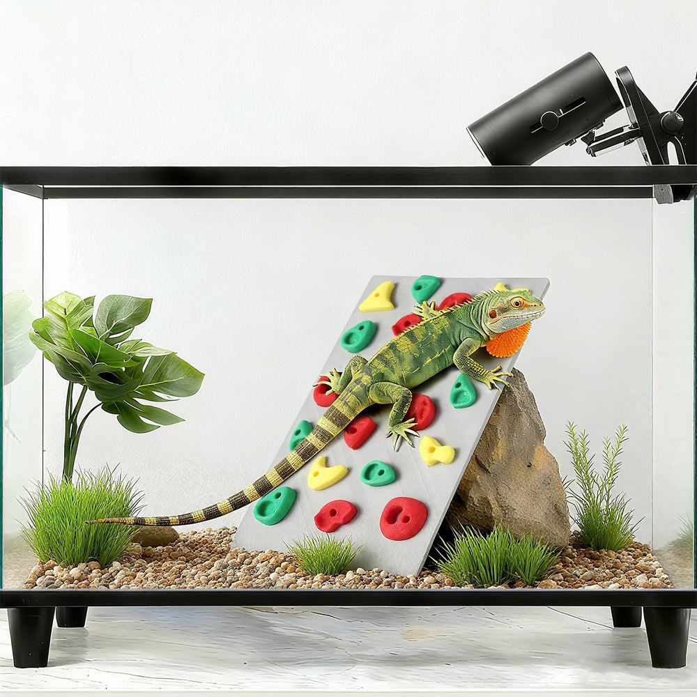 MITCHENIFY décor d’habitat terrarium, améliore l’esthétique et le bien-être.