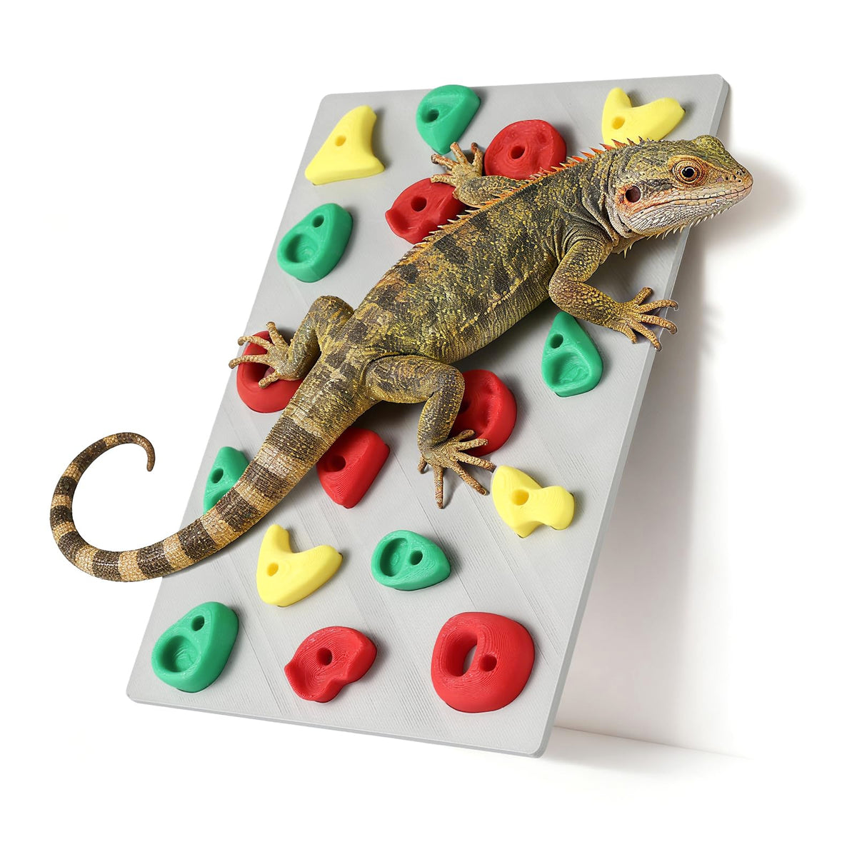 MITCHENIFY mur d’escalade pour reptile, stimule l’exploration et la santé physique.