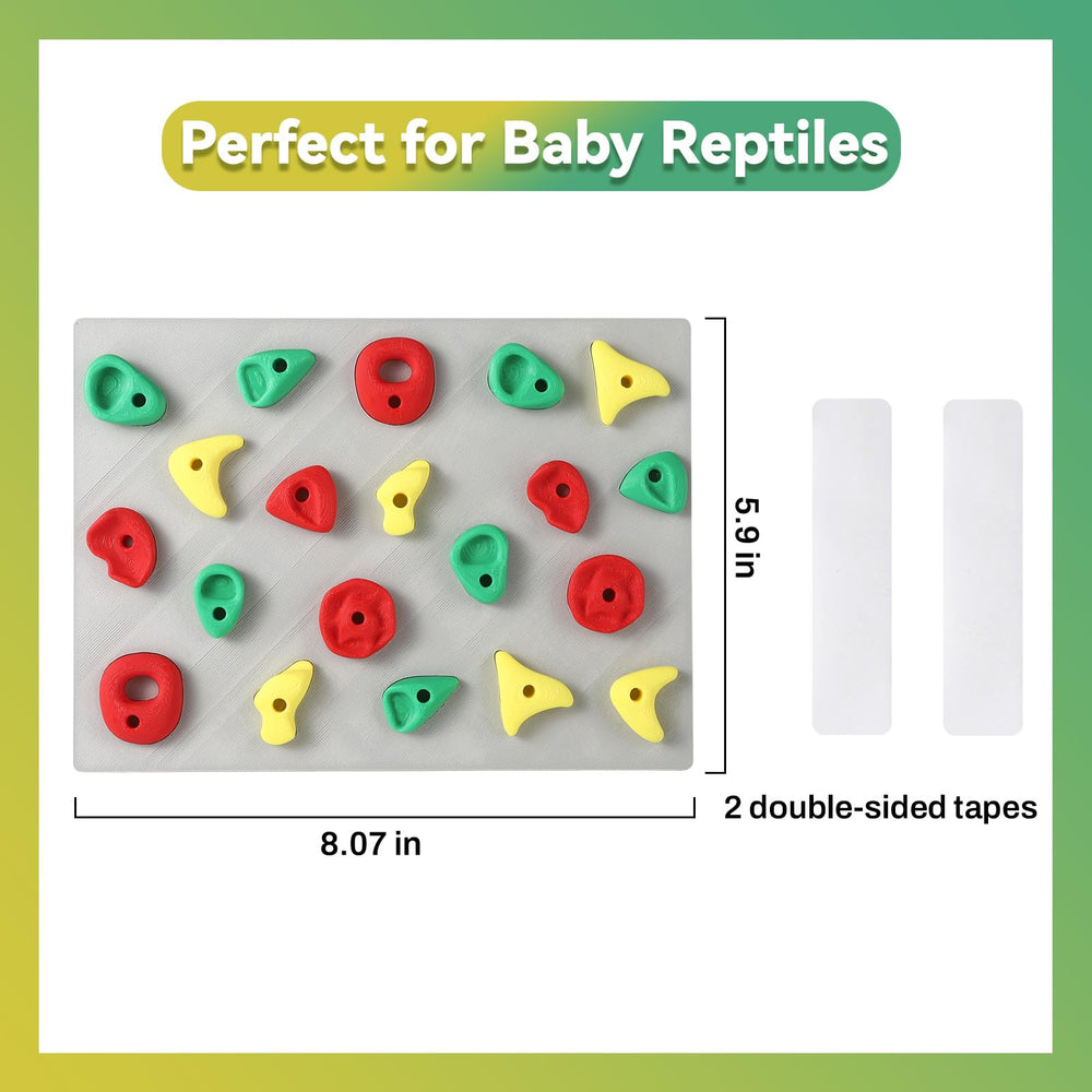 MITCHENIFY paludarium escalade pour reptiles, offre une zone de jeu variée.
