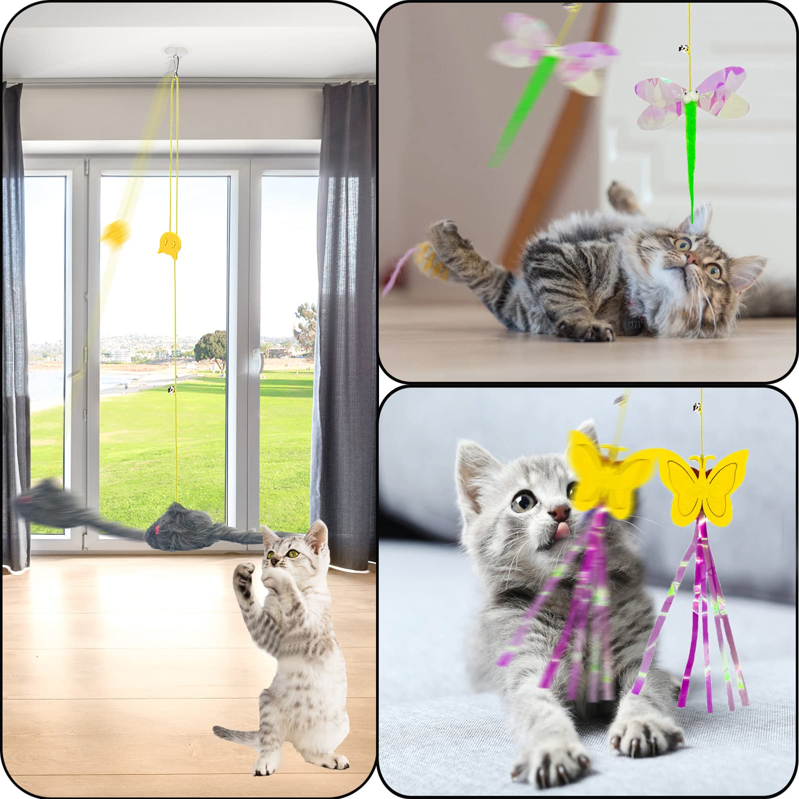 Mitubati ensemble de 6 jouets chats divertit plusieurs félins simultanément