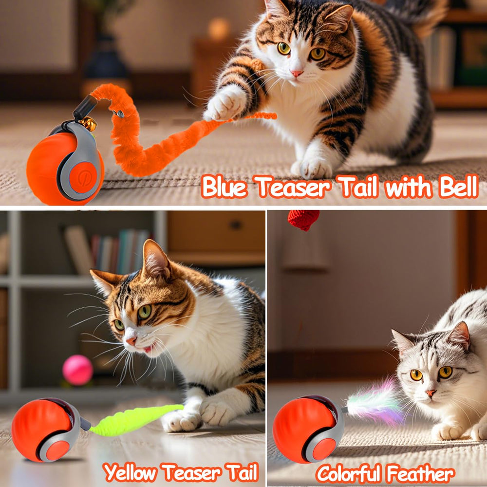 Balle chat activation par tapotement offrant une interaction fluide.