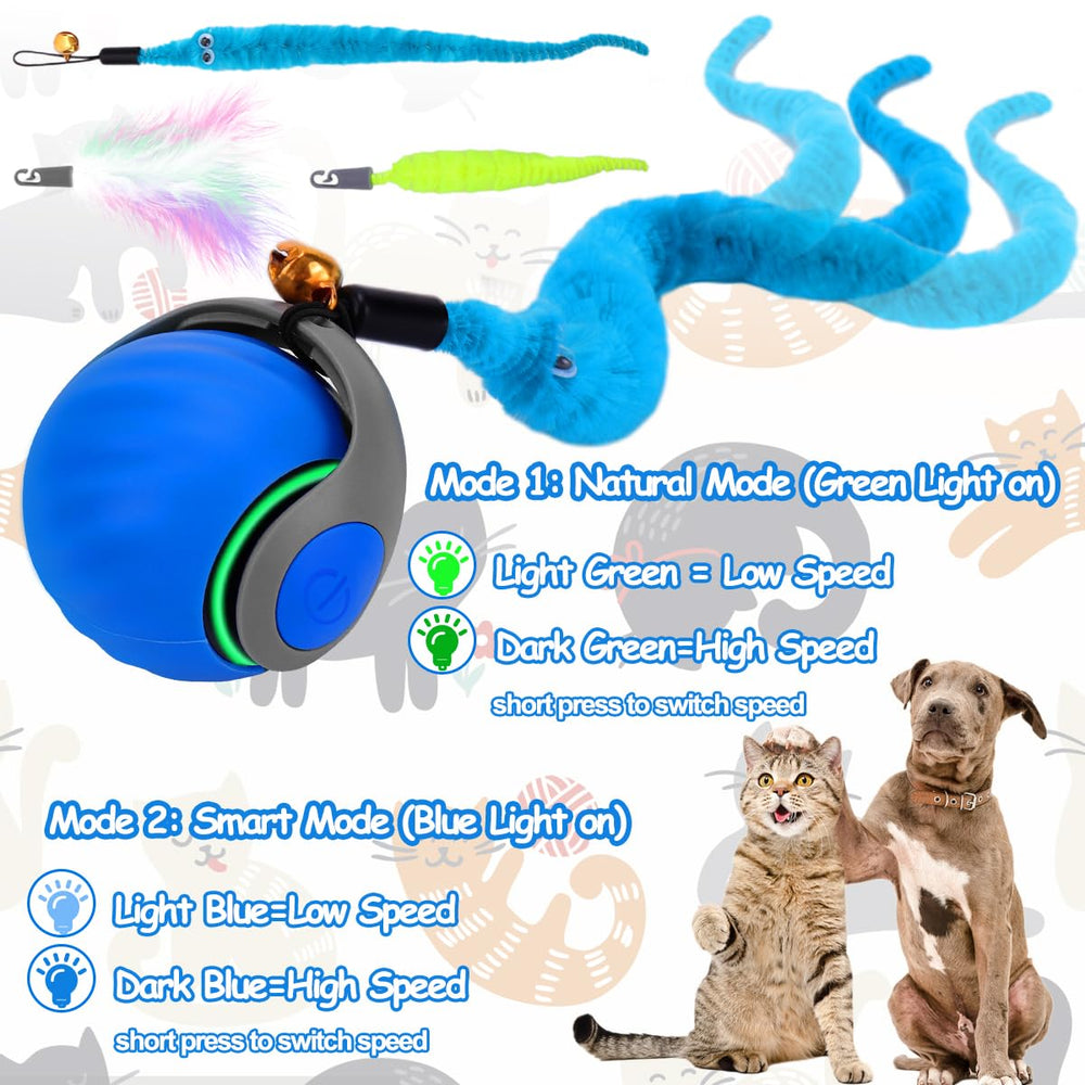 Queues-plumes sur la balle Mity Rain apportent stimulation visuelle.