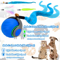 Queues-plumes sur la balle Mity Rain apportent stimulation visuelle.