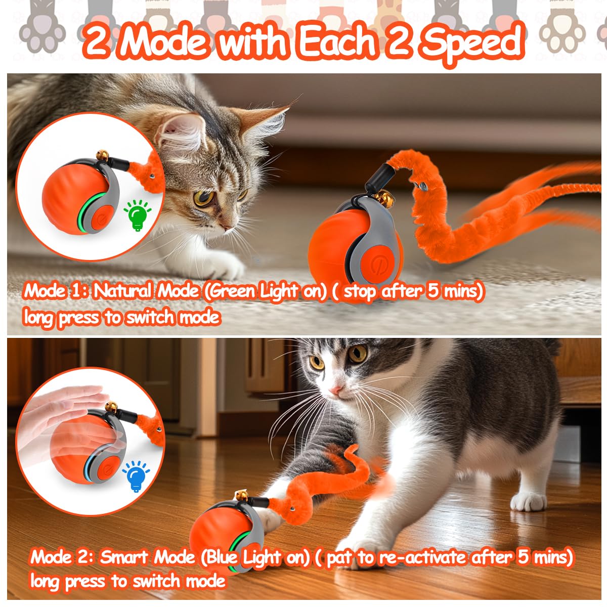 Balle chat roulant en mode naturel favorisant l0exercice léger.