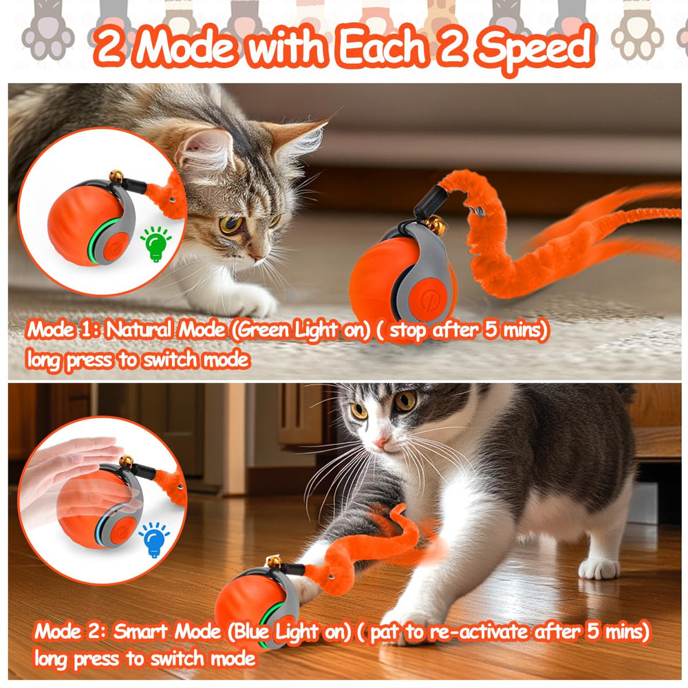 Balle chat roulant en mode naturel favorisant l0exercice léger.