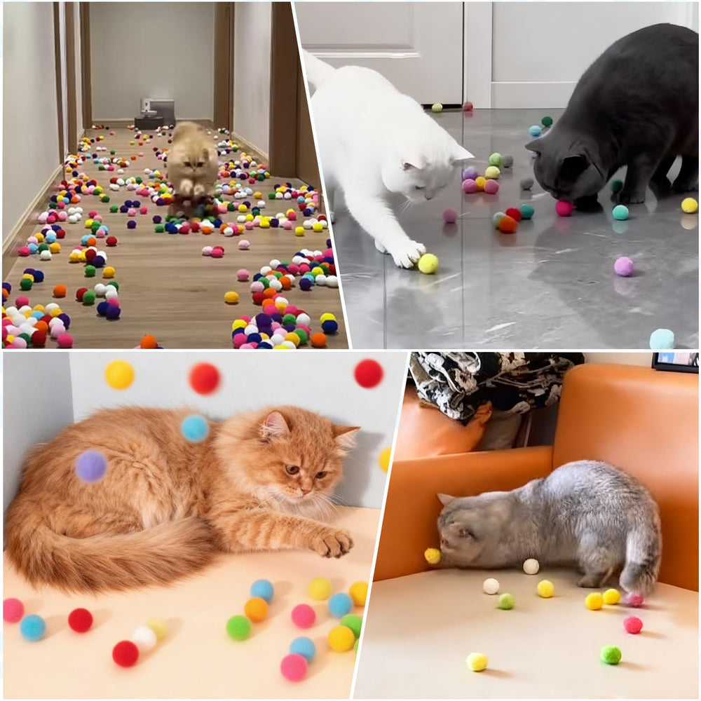 Cadeau Noël Mity Rain : jouet interactif pour chats d intérieur.