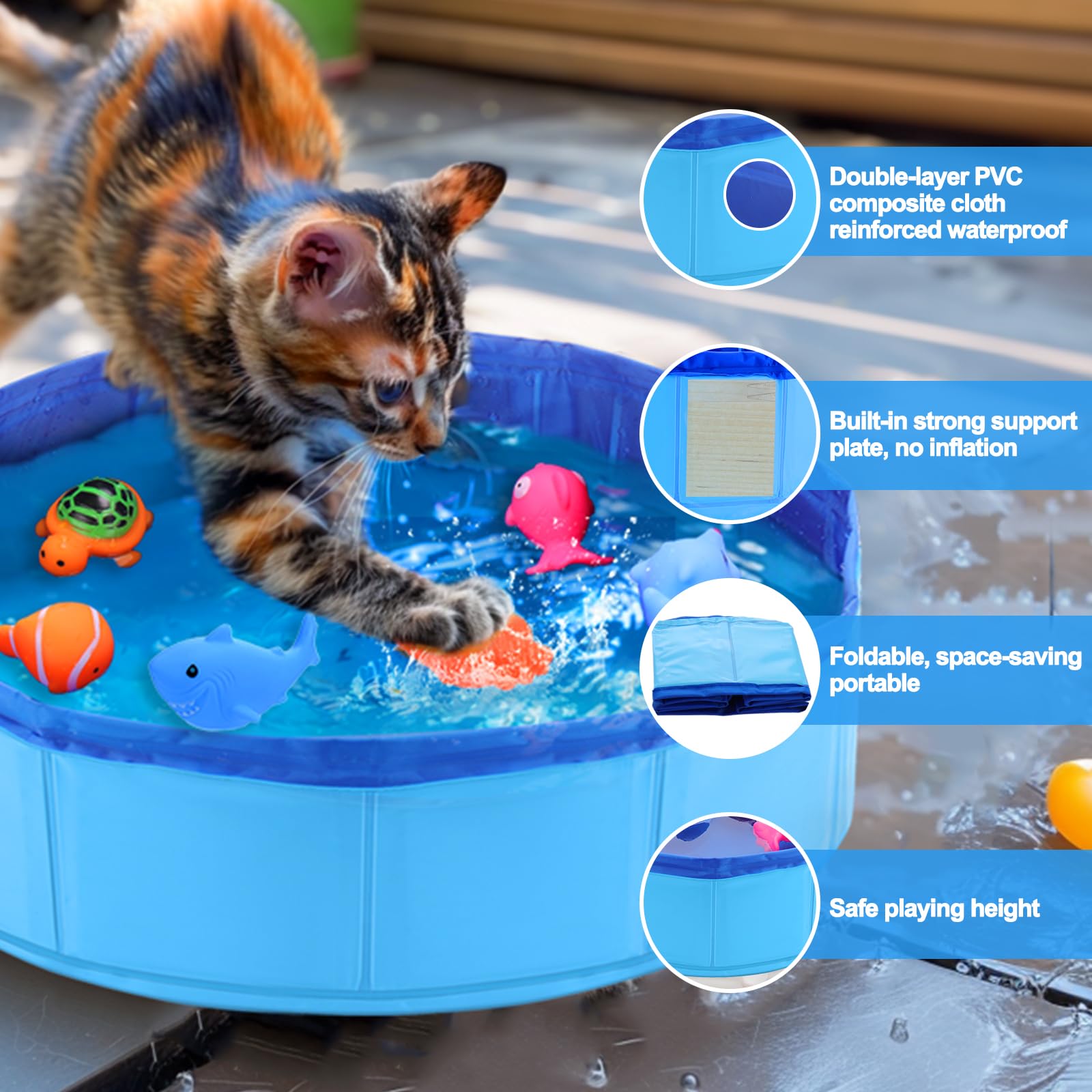 Mity rain Conception océan chat interactif, décor marin pour éveiller les sens.