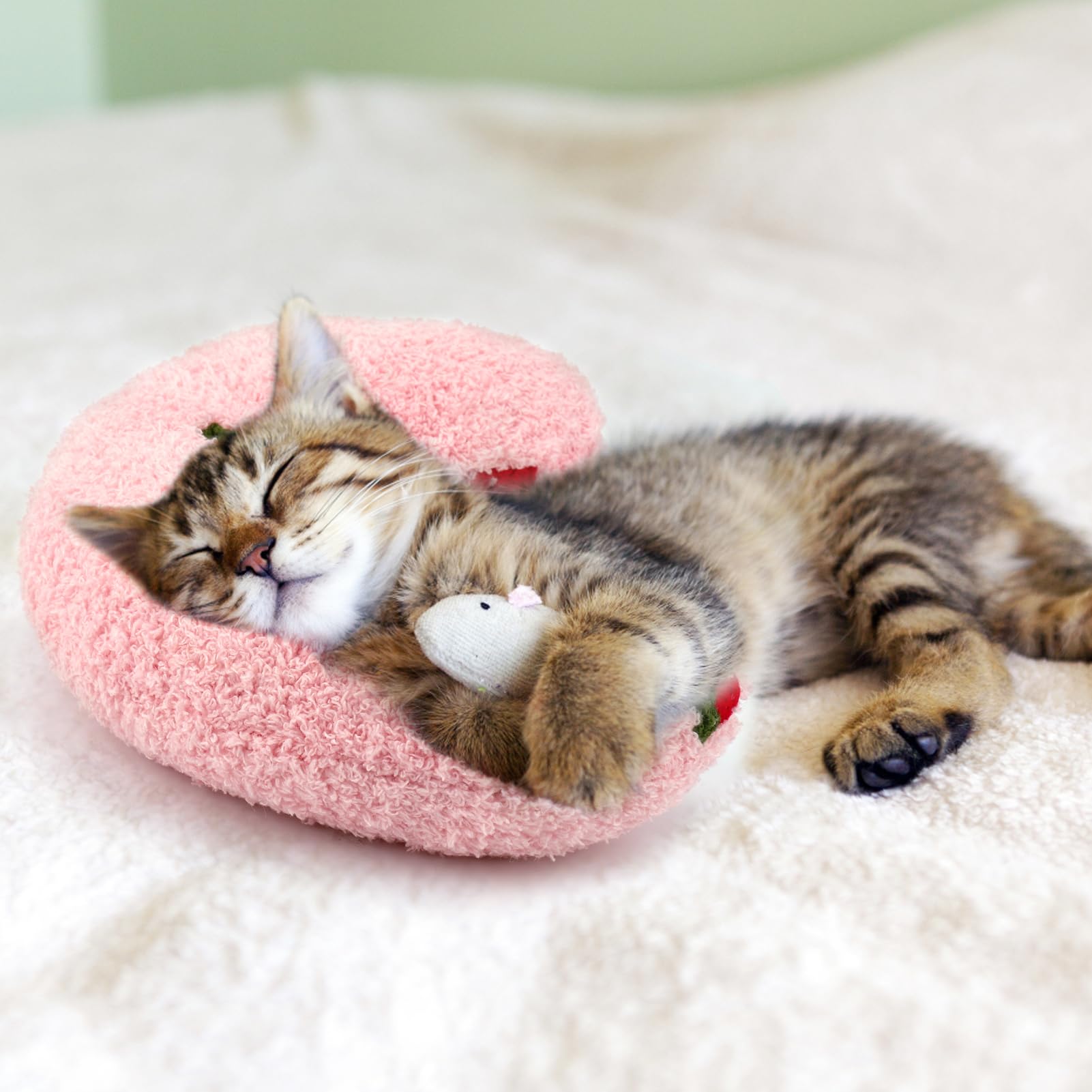 Conseils d'utilisation Mity Rain, espace de sommeil exclusif pour chien.