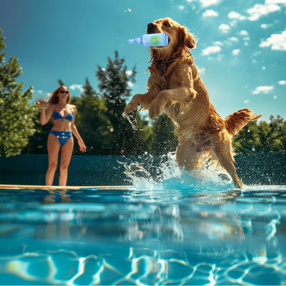 Jouet Mity rain: entraînement dentaire et jeu mental pour chiens.