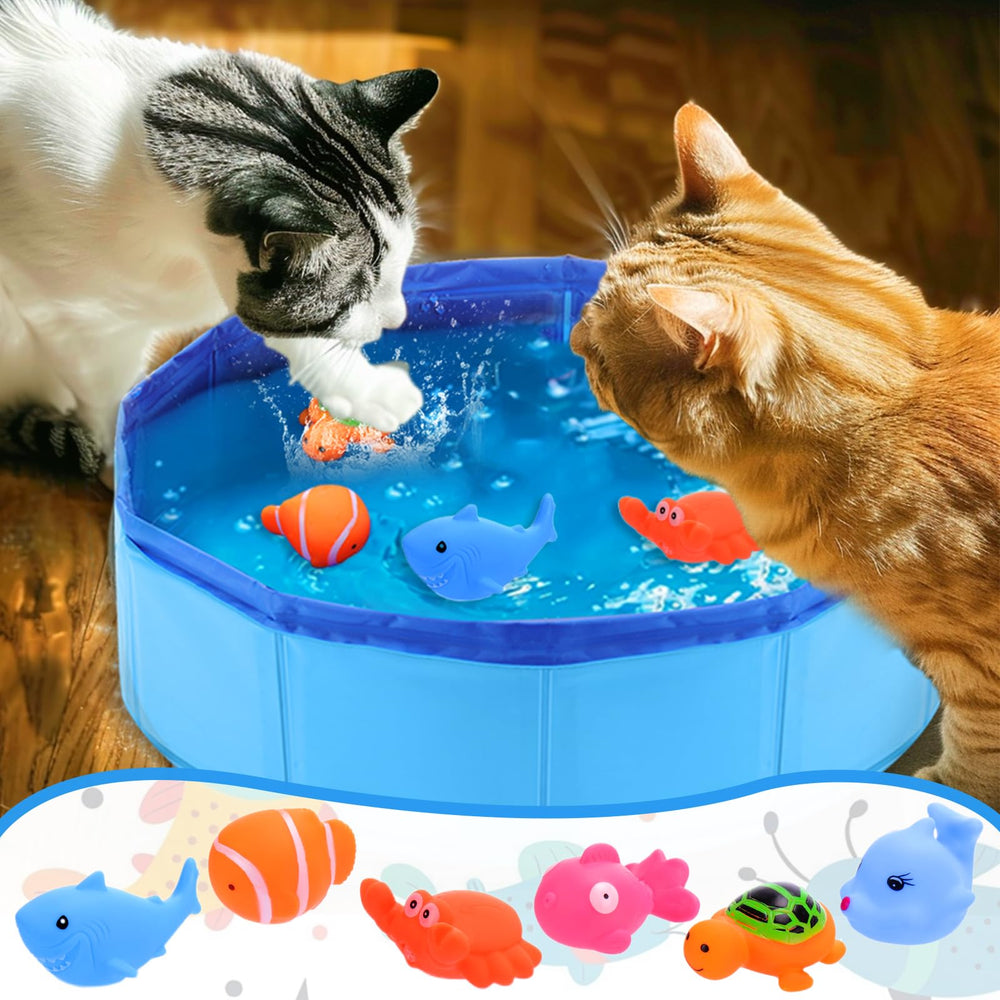 Mity rain Jeu chat interieur poisson, activité ludique pour chat actif.