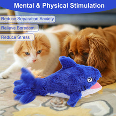 Jouet Mity rain Interactif Mouvement, divertissement pour chiens.