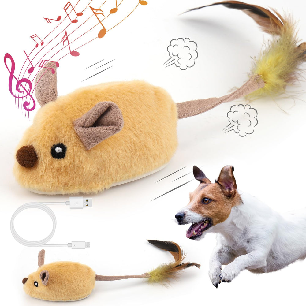 Jouet Mity Rain souris interactive en mouvement stimule l'activité canine.