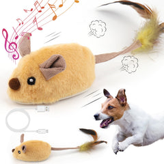 Jouet Mity Rain souris interactive en mouvement stimule l'activité canine.