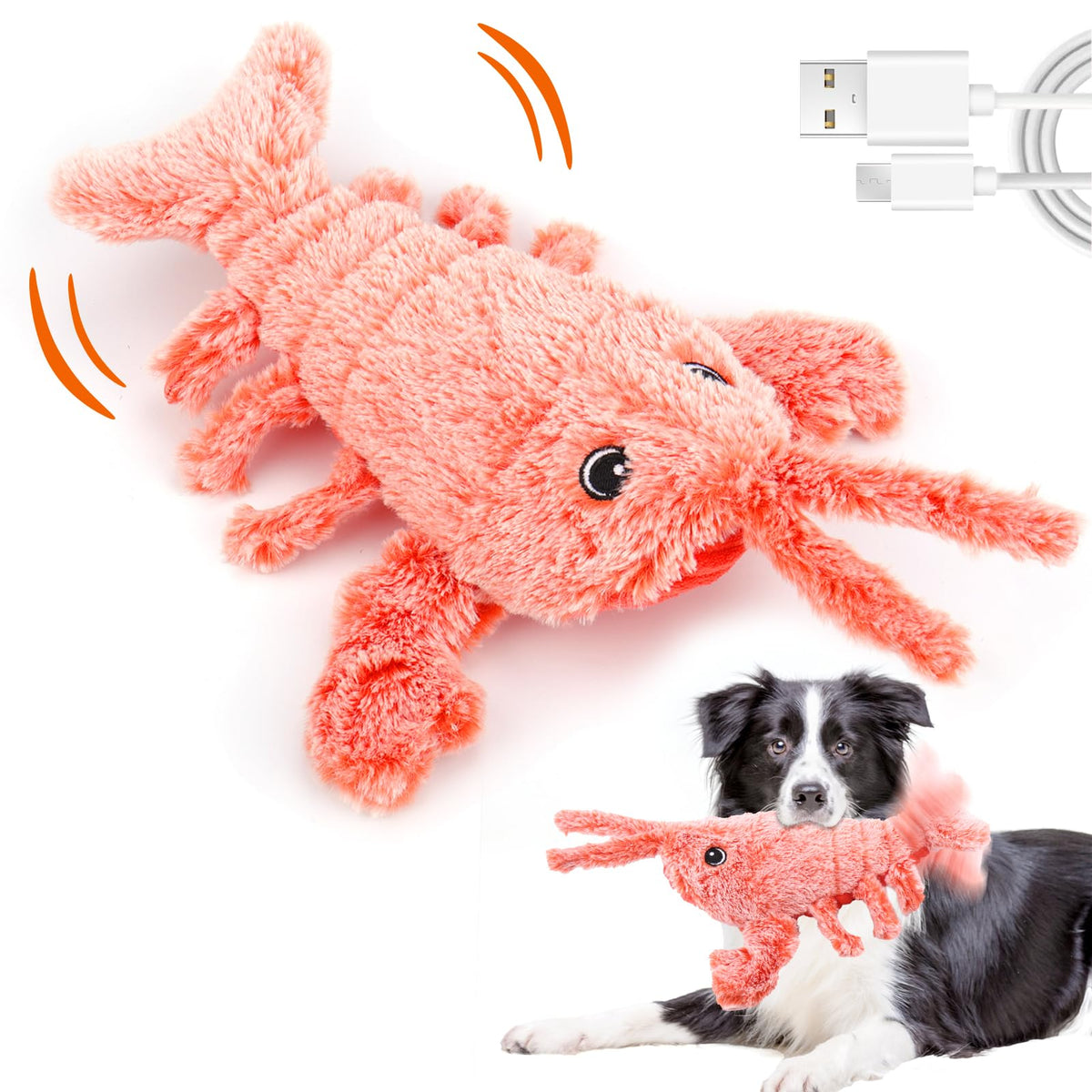 Mity Rain: jouet homard interactif qui attire l’attention du chien et stimule le jeu.