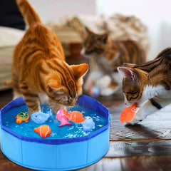 Mity rain Piscine chat activite sensorielle, stimulation visuelle et mouvement rapide.