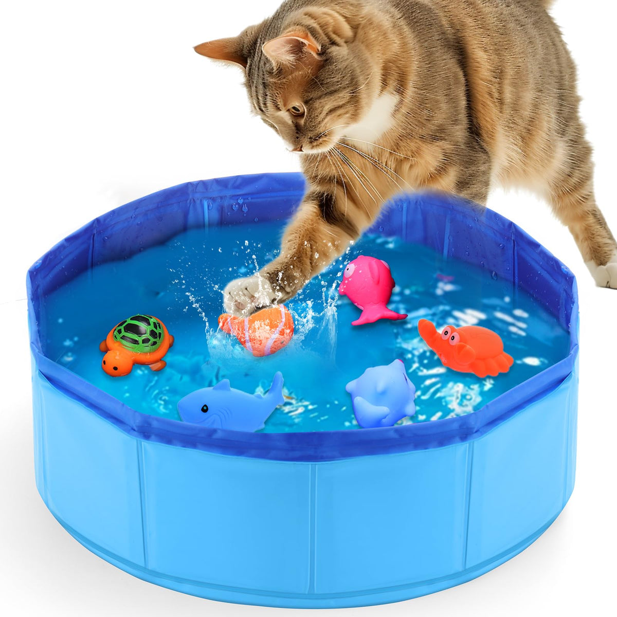 Mity rain Cat Pool poisson interactif, stimulation mentale et chasse ludique.