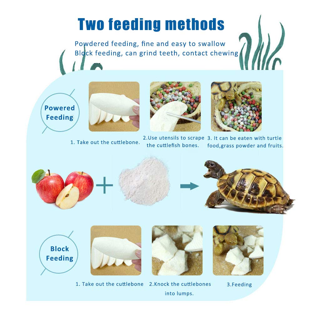 Mivofun Cuttlebone, emballage inclus, pratique à offrir aux propriétaires d'animaux.