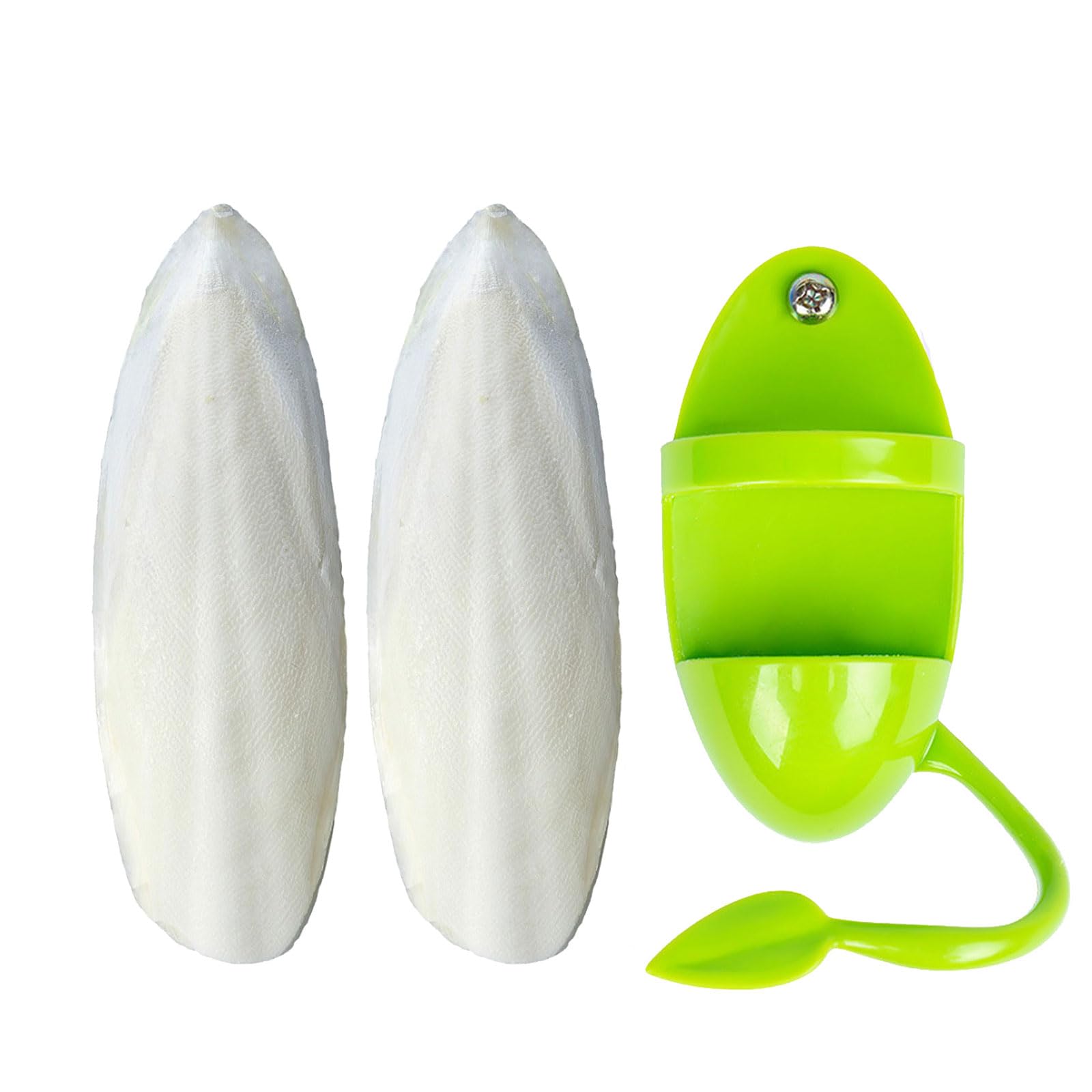 Mivofun os de seiche naturel 5-6 pouces, calcium pour oiseaux de compagnie.