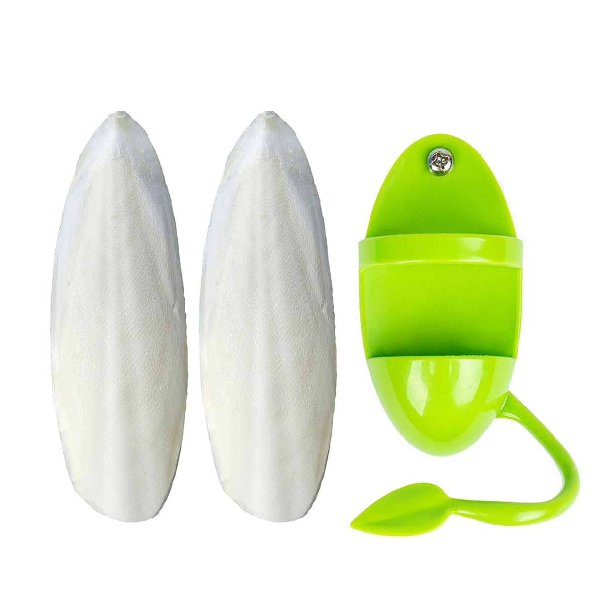 Mivofun os de seiche naturel 5-6 pouces, calcium pour oiseaux de compagnie.